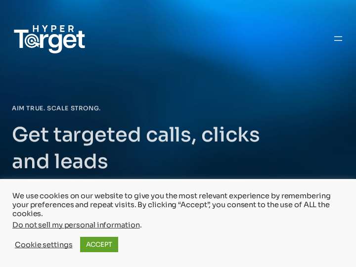 HyperTarget Marketing website preview