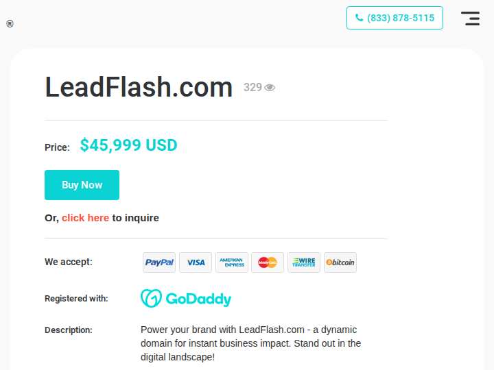 LeadFlash website preview