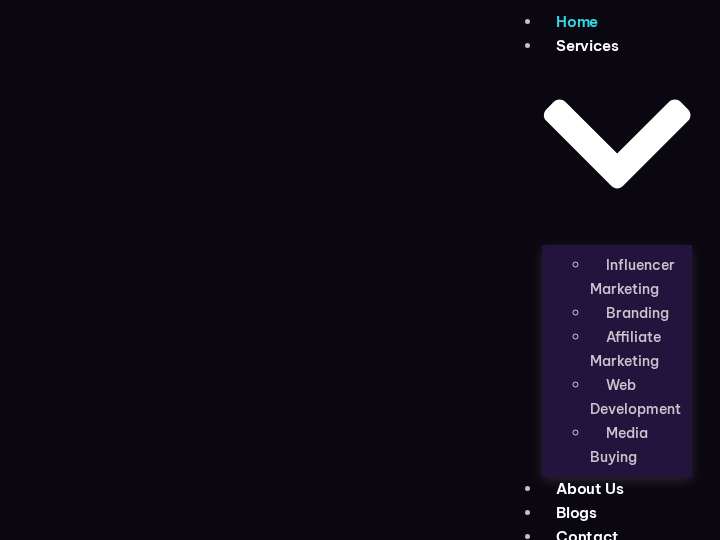 LitadzMedia website preview