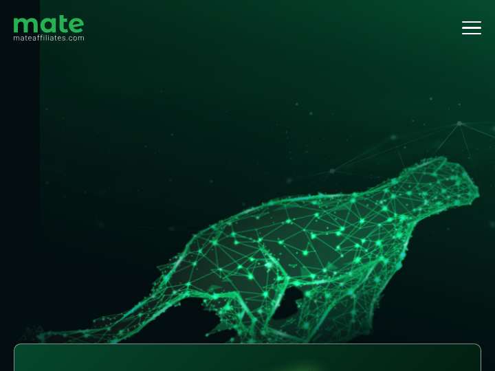 Mate Affiliates website preview