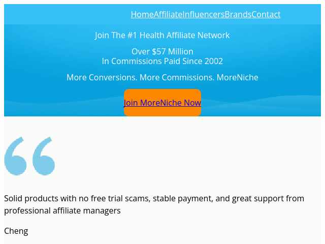 MoreNiche website preview