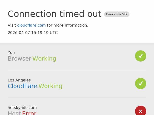 NetSkyAds website preview