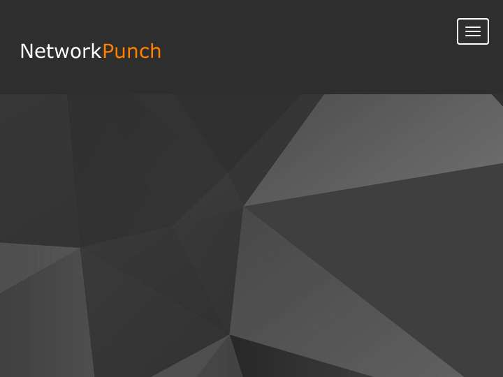 Network Punch website preview