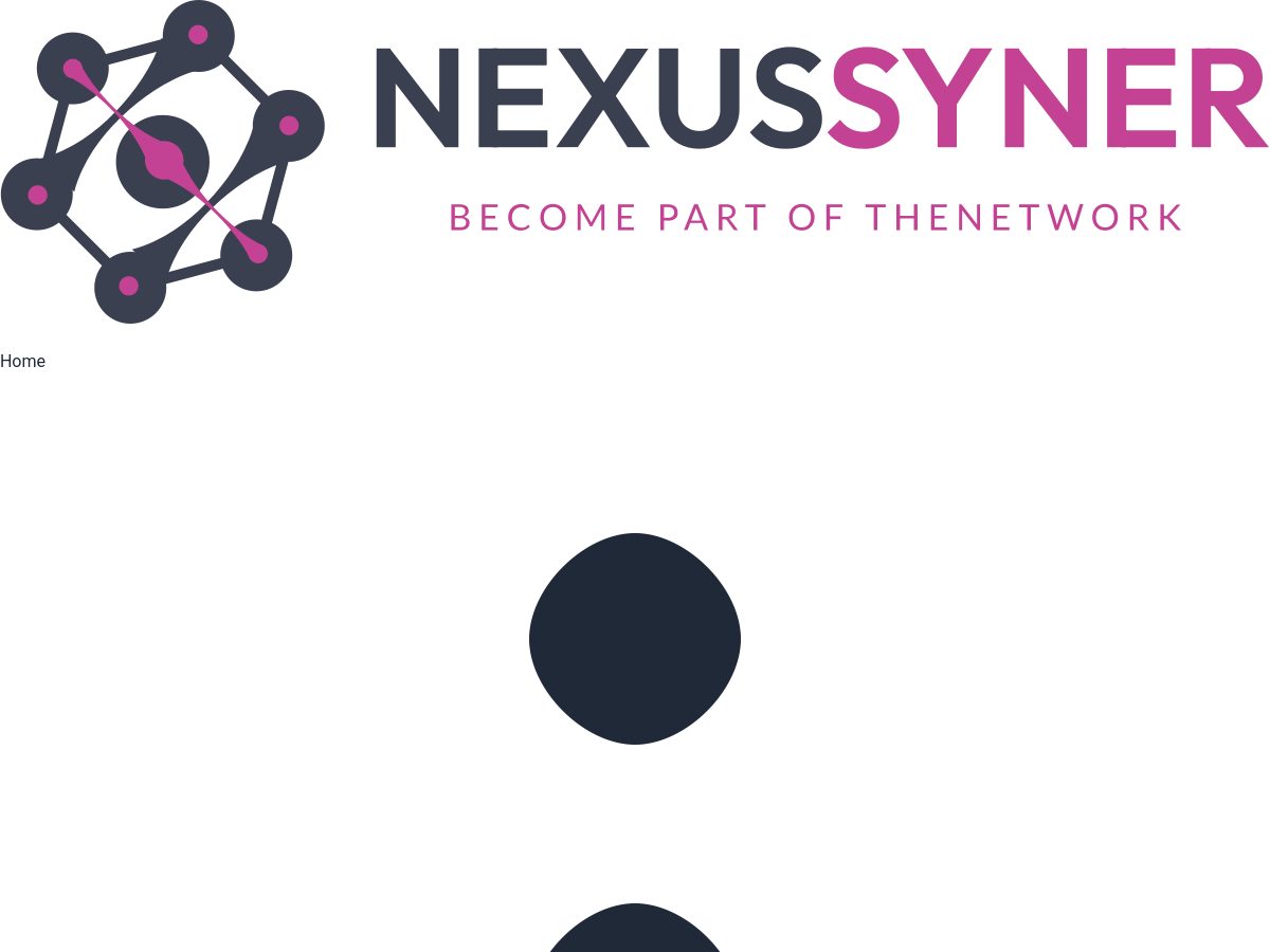 NexusSyner website preview