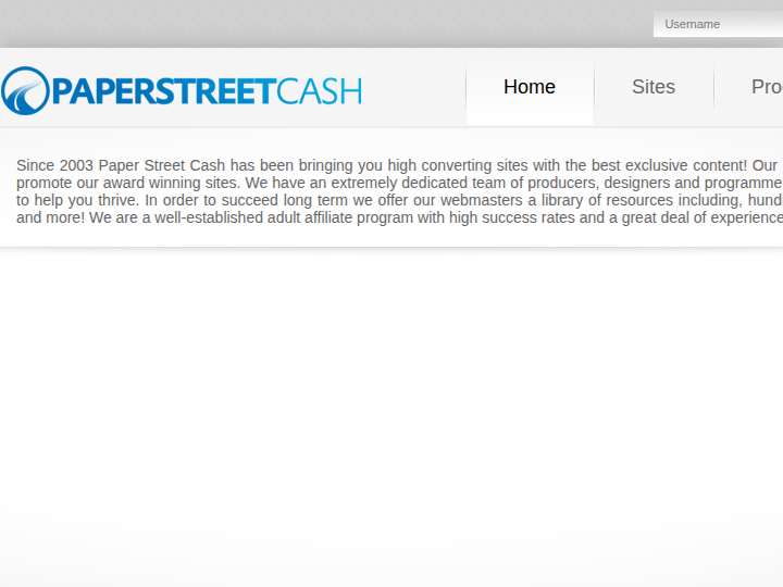 Paper Street Cash website preview