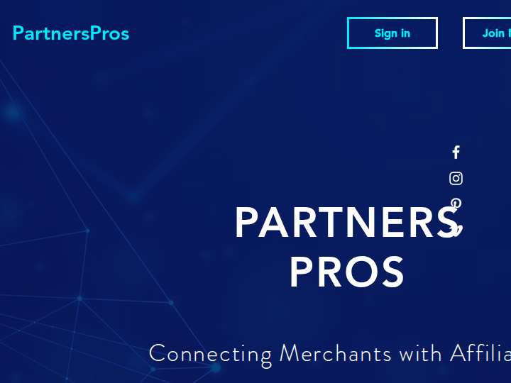 PartnersPros website preview