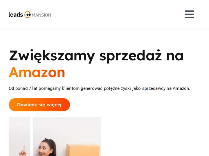 PaydayMansion website preview