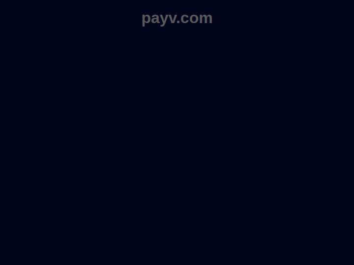 PayV website preview