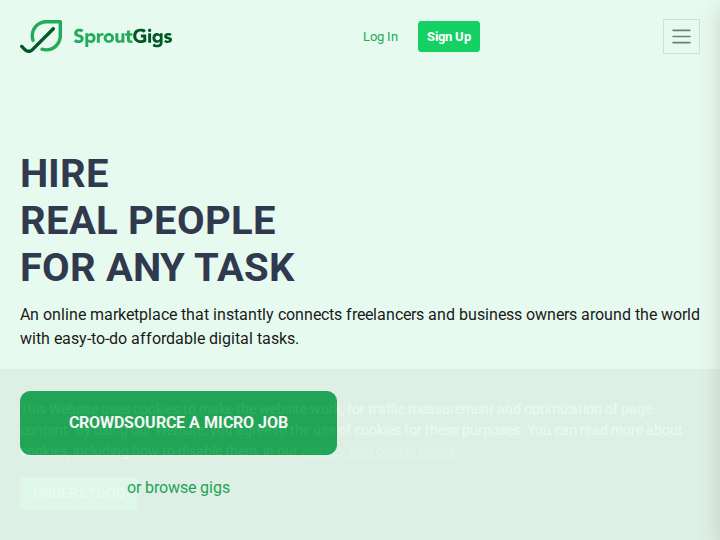 Picoworkers Affiliate Program website preview