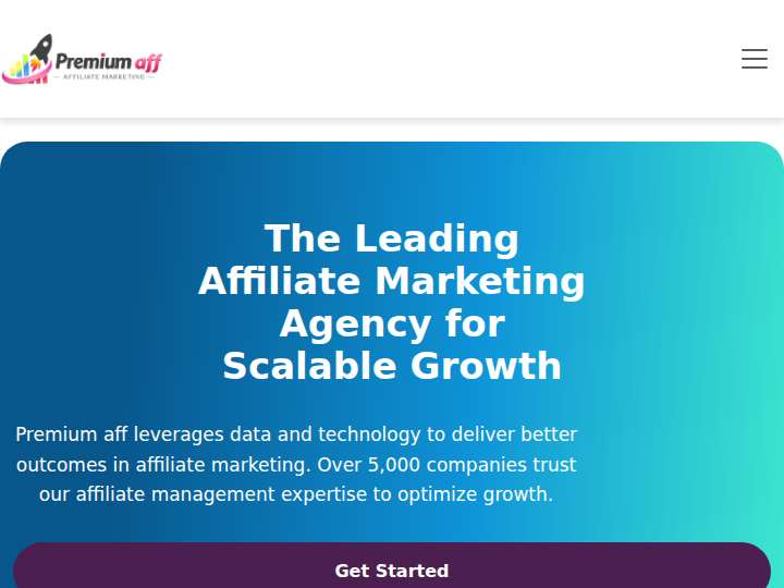 Premium Aff website preview