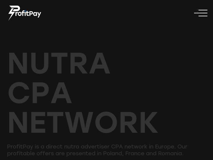 ProfitPay website preview
