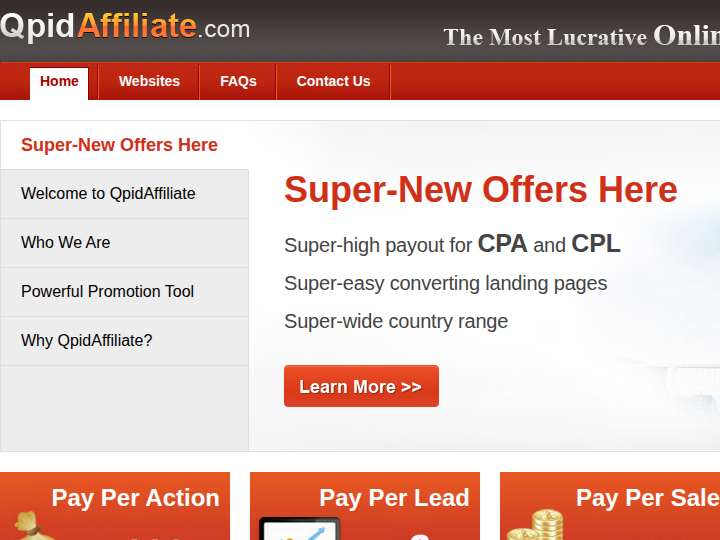 QpidAffiliate website preview