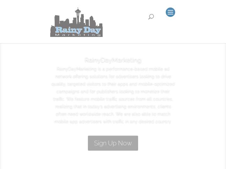 RainyDayMarketing website preview