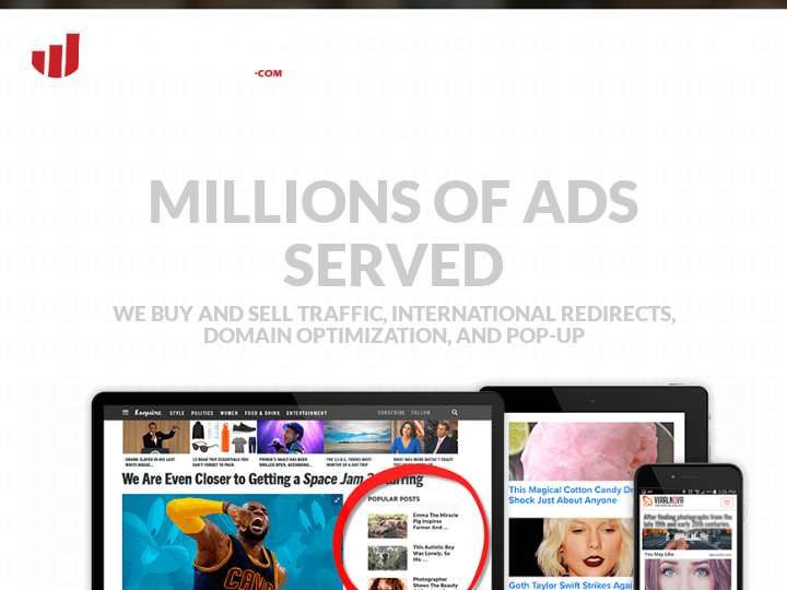 Redirect.com website preview
