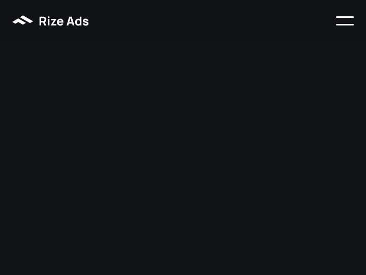Rize Ads website preview