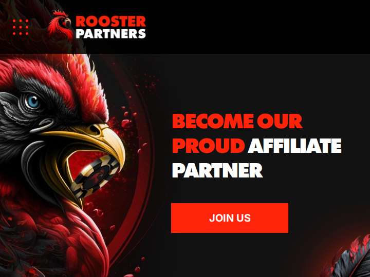 Rooster Partners website preview