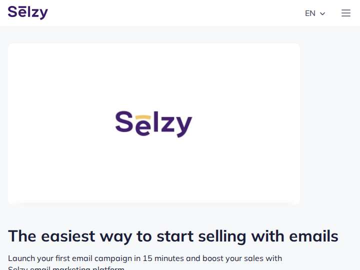 Selzy website preview
