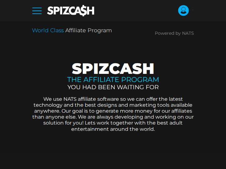 Spizcash website preview
