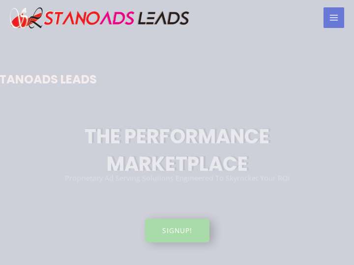 Stanoads Leads website preview