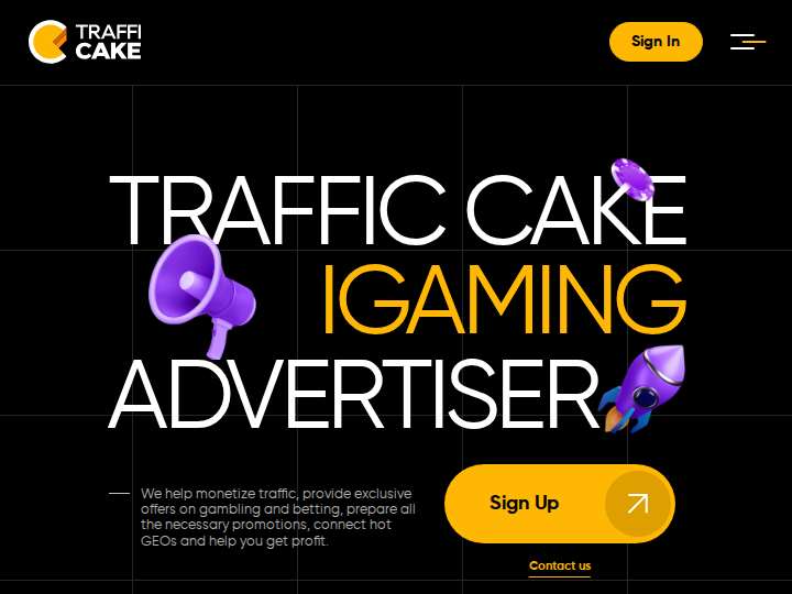 Traffic Сake website preview
