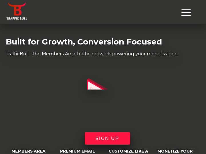Traffic Bull website preview