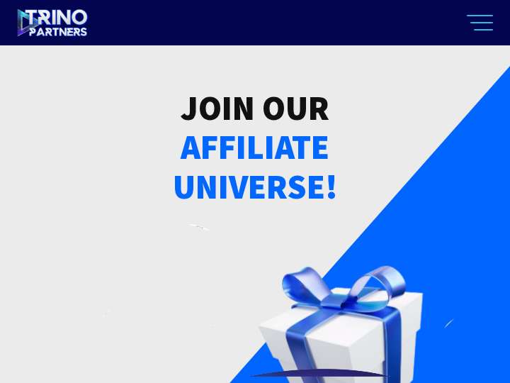 Trino Partners website preview
