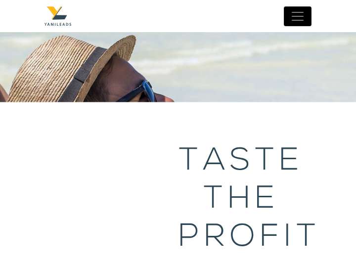 YamiLeads website preview