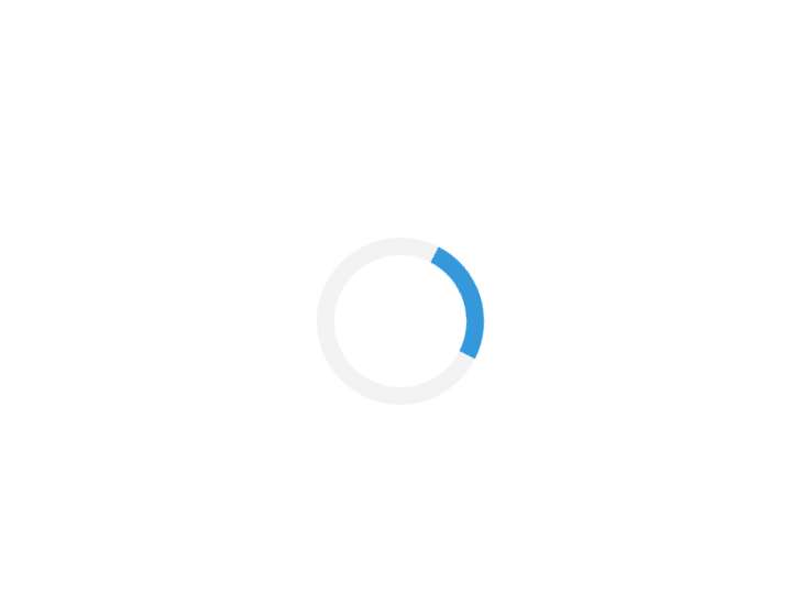 Zoom Leads website preview
